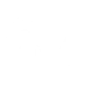 Logo Blanc pour header